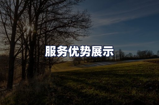 服务优势展示
