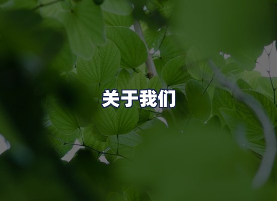 关于我们